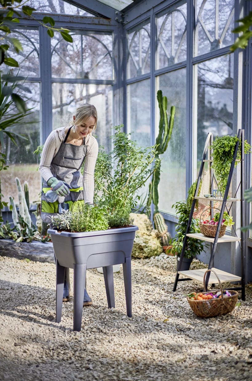 Jardinière