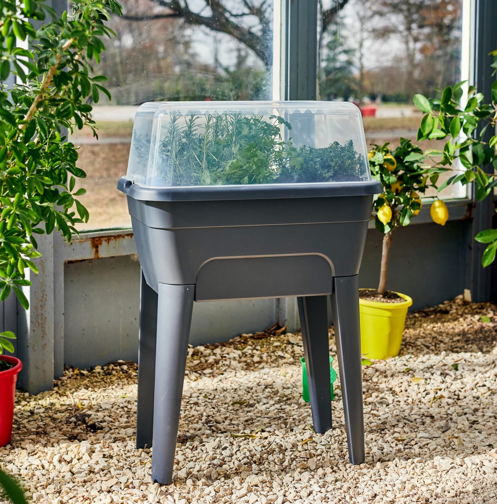Jardinière — visuel 2